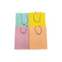 Пакет подарунковий 18х23 Асорті різнокольорові  (5534)