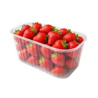 Контейнер для ягід та фруктів 1950 мл (1056)