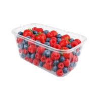Контейнер для ягід та фруктів 1950 мл (0151)