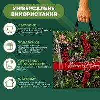 Пакет новорічний Зимовий букет 38х34 см (2141)