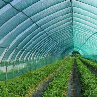 Сітка затіняюча Agreen в рулоні 45% 3х100 м (A6017  )