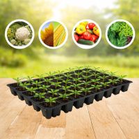 Касета для розсади 54х28см на 72 комірок XQB72 (A9998  )