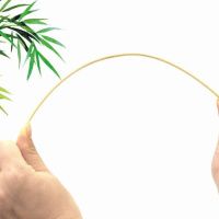 Шашлична паличка Purely natural 25 см 200 шт (2042)