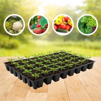 Касета для розсади 60х40см на 96 комірок (4106)