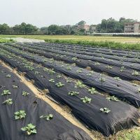 Агроволокно Agreen в рулоні 50 мк 1.6х25 м Чорне (A9046  )