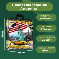 Пакет ПластикПак Америка 40х45 см (9381)