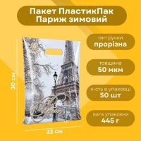 Пакет новорічний Париж зимовий 22х30 см (0095)