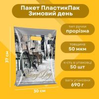 Пакет новорічний Зимовий день 30х37 см (7407)