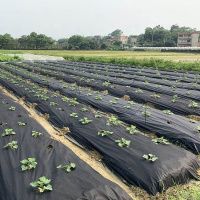 Агроволокно Agreen в рулоні 50 мк 1.6х25 м Чорне (A9046  )