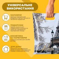 Пакет новорічний Париж зимовий 22х30 см (0095)