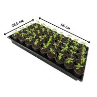 Піддон під касети для розсади 55х28.5х6 см K125 (A9061  )