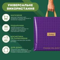Пакет Serikoff Подарунковий Баклажан 40х40 см (1893)