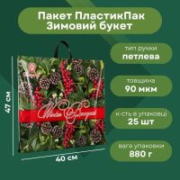 Пакет новорічний Зимовий букет 38х34 см (2141)