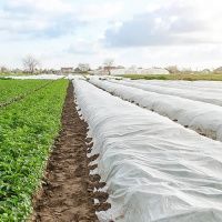 Агроволокно 42 мк 3.2х10 м біле (4091) Агроволокно 42 мк 3.2х10 м біле (4091)