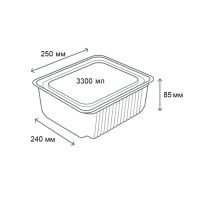 Одноразовий контейнер ПС 55 з кришкою 3300 мл (2945)